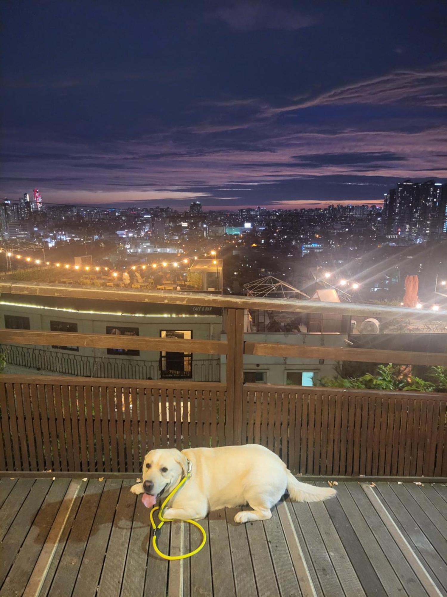 Cozy Private Home Newly Renovated #3 Seoul Luaran gambar