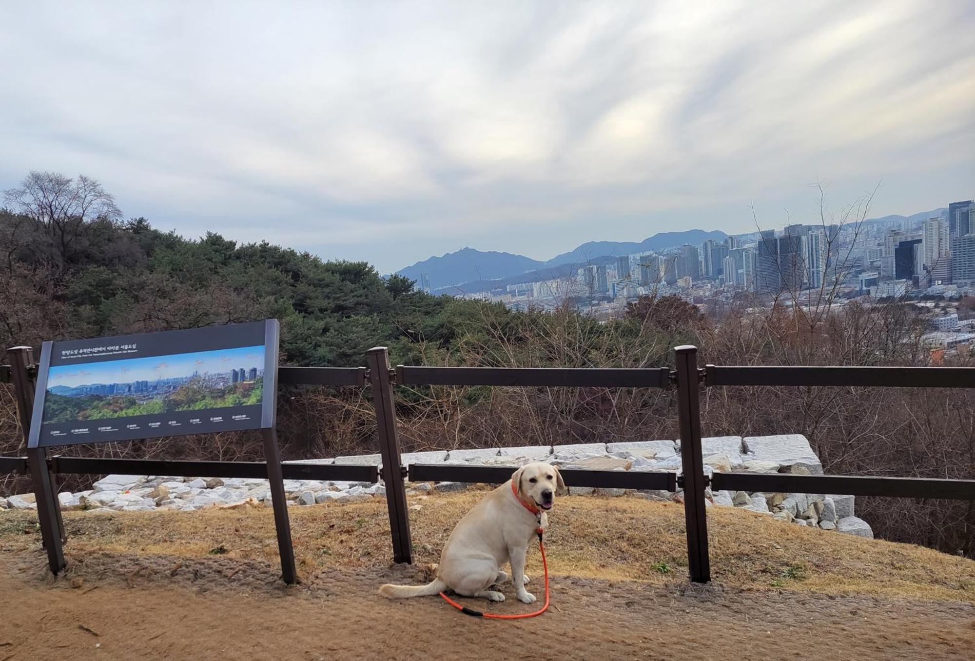 Cozy Private Home Newly Renovated #3 Seoul Luaran gambar