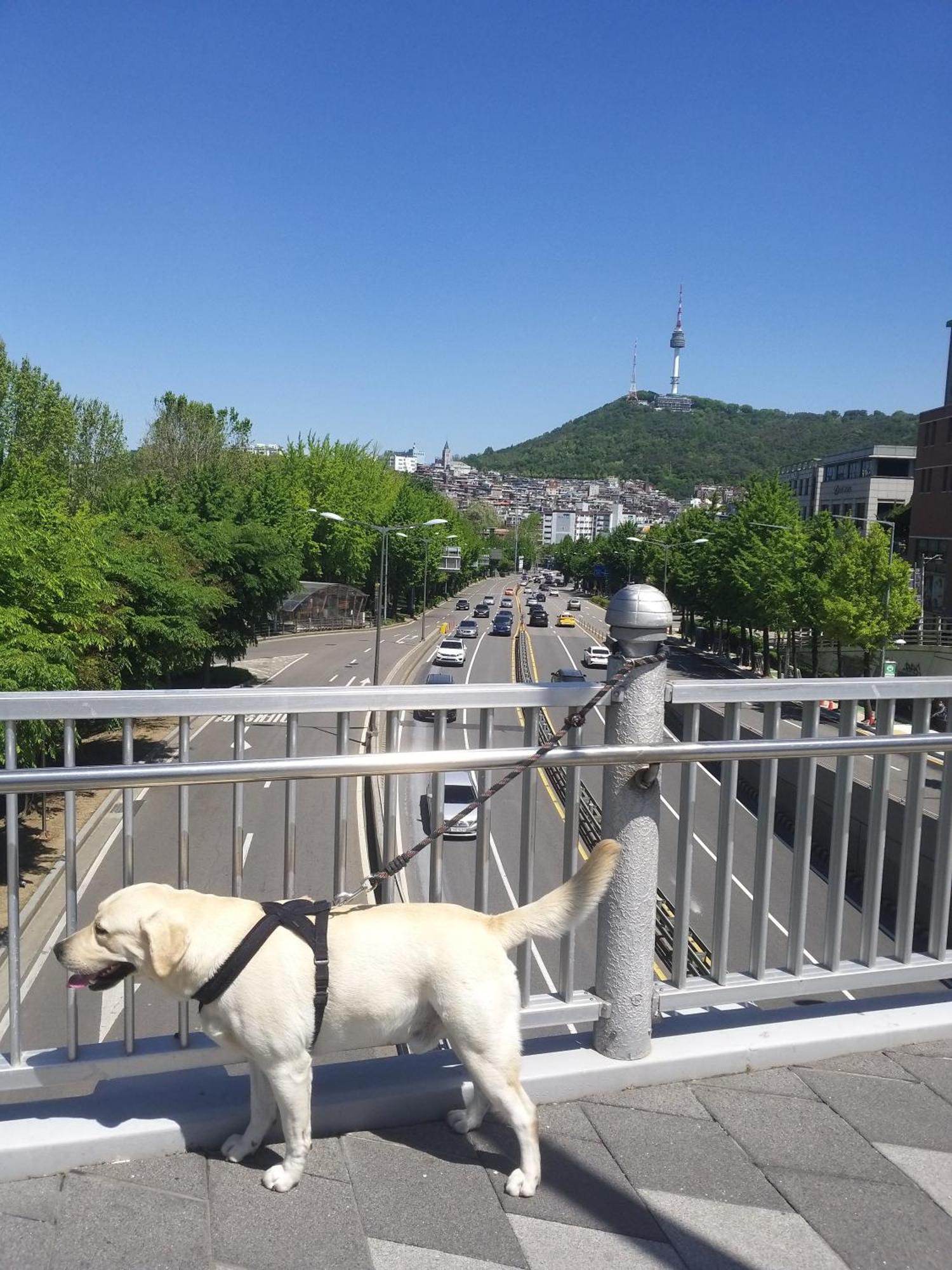 Cozy Private Home Newly Renovated #3 Seoul Luaran gambar