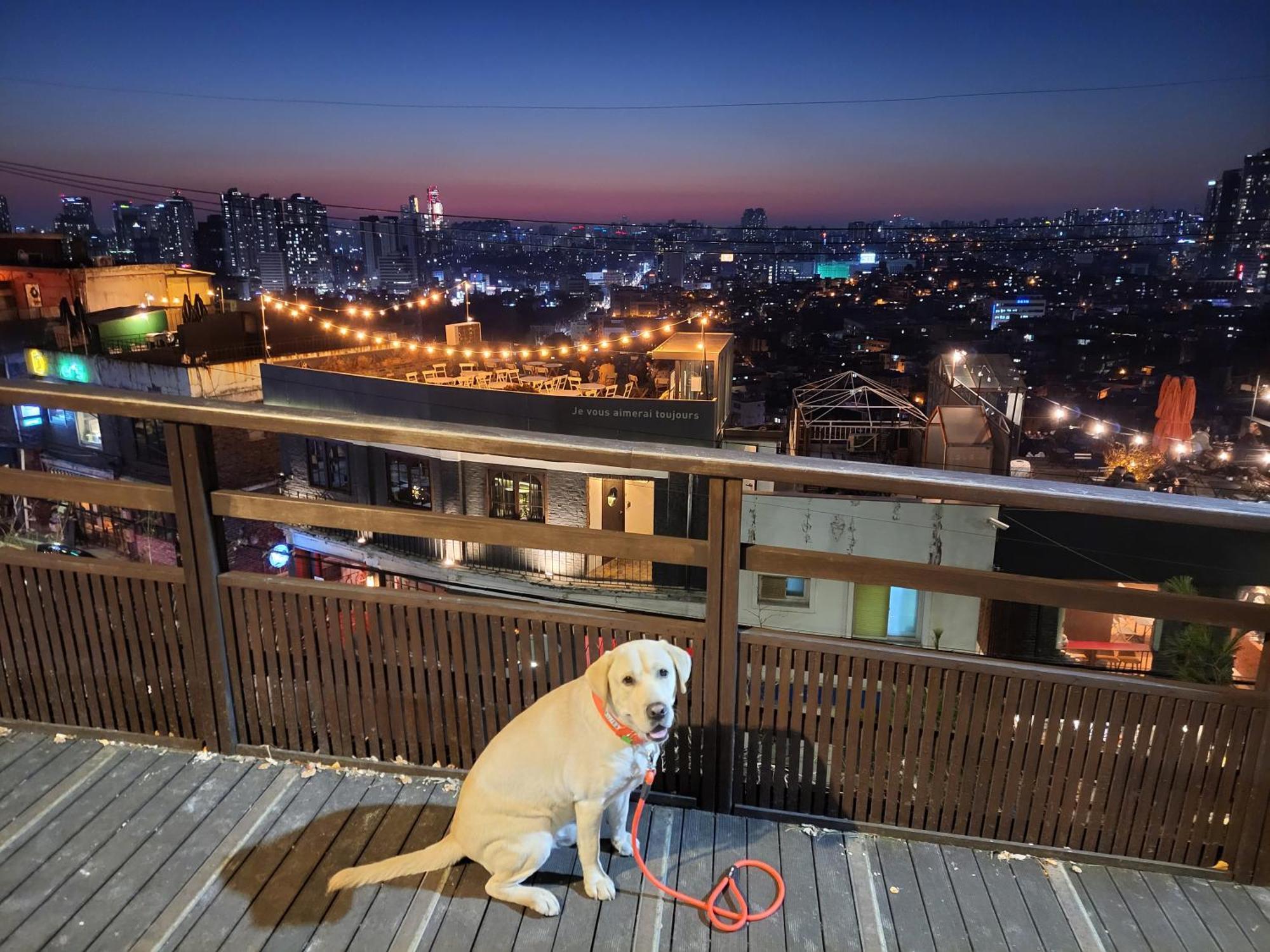 Cozy Private Home Newly Renovated #3 Seoul Luaran gambar