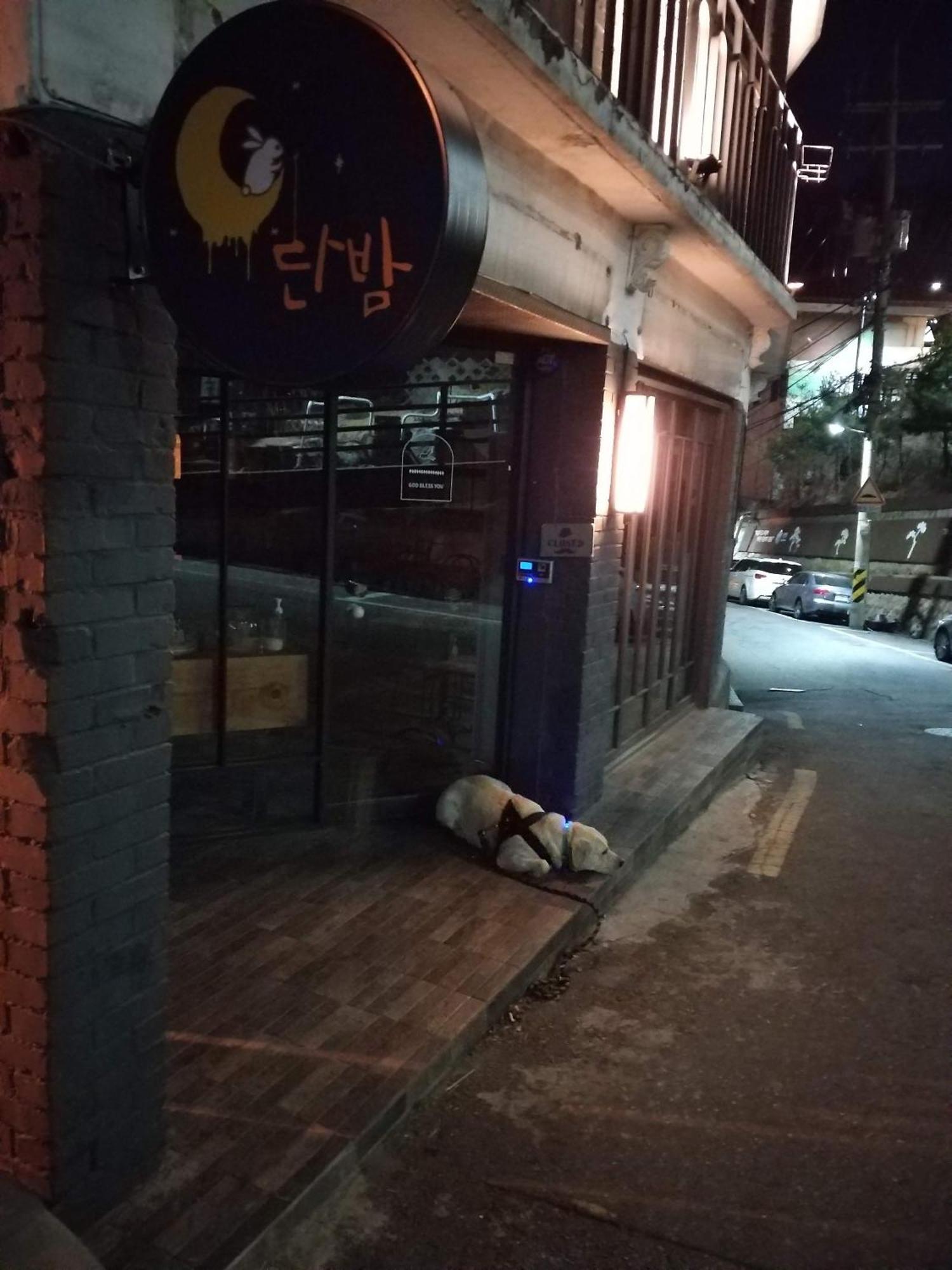 Cozy Private Home Newly Renovated #3 Seoul Luaran gambar