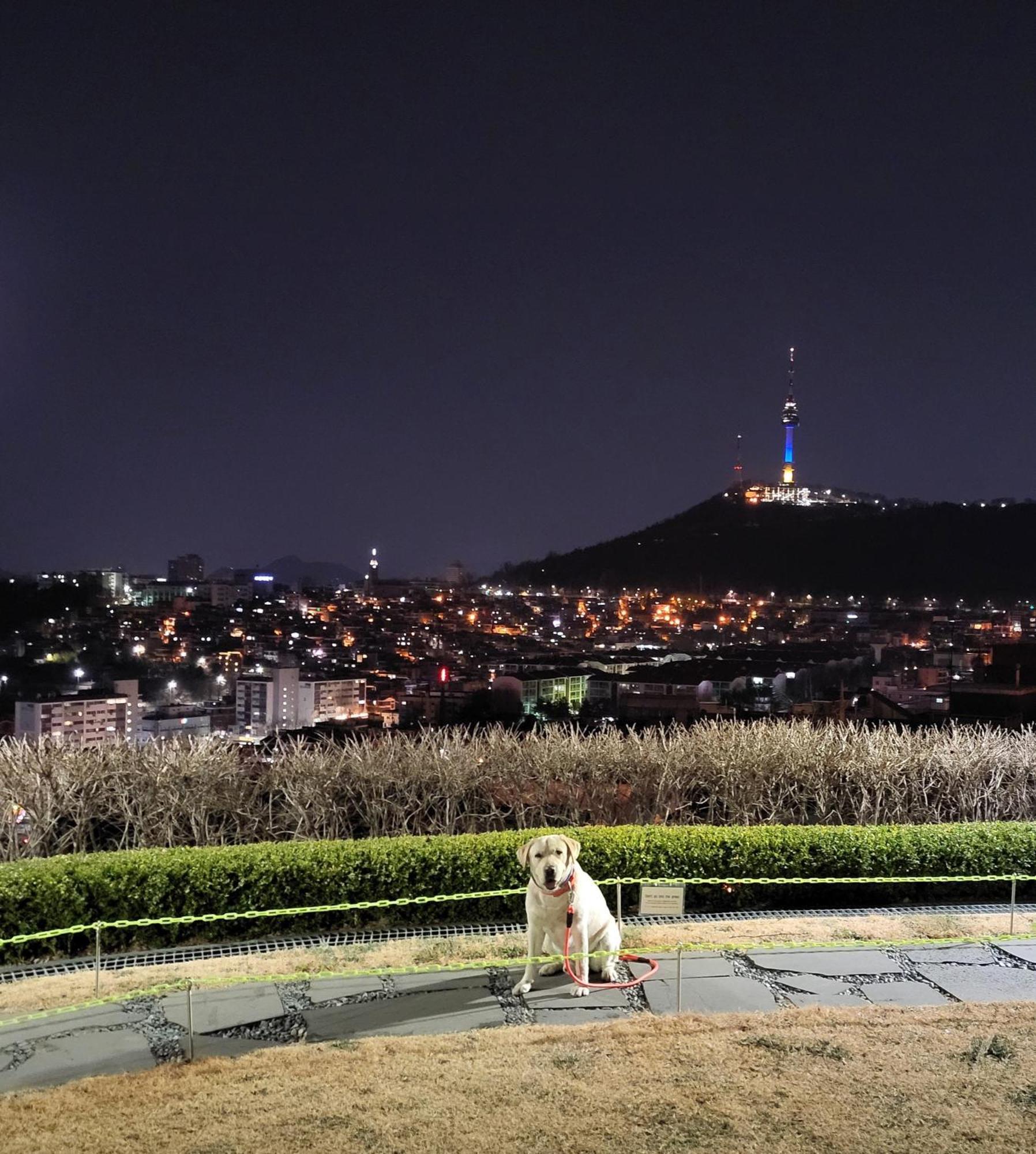 Cozy Private Home Newly Renovated #3 Seoul Luaran gambar